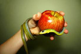A person holding an apple and a snake